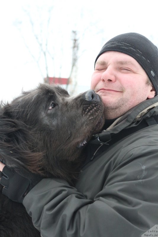 Фото: Aleksandr Ponomaryov (Александр Пономарёв), ньюфаундленд Angel Khranitel Gruffidd (Ангел Хранитель Граффидд)
