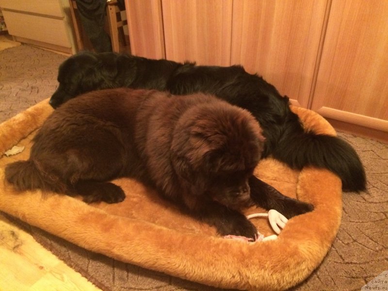 Фотография № 201045