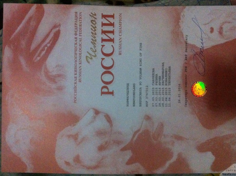 Фотография № 201047