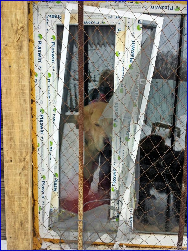 Фотография № 201048