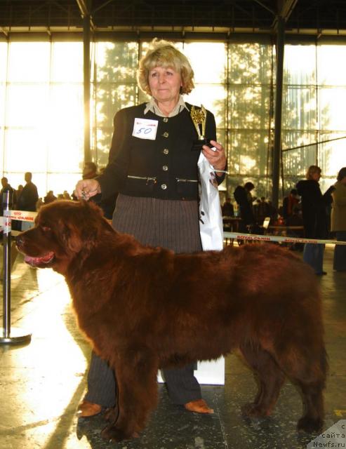 Фотография № 20105