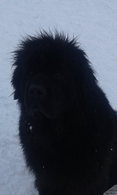 Фотография № 201069