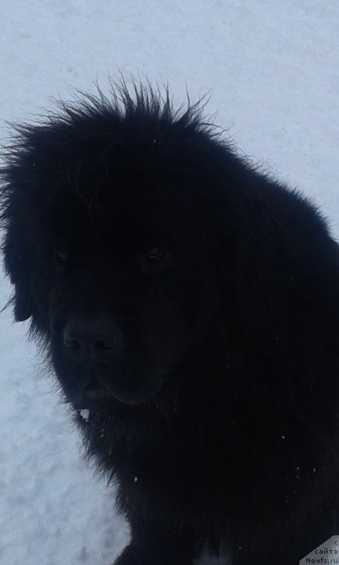 Фотография № 201070