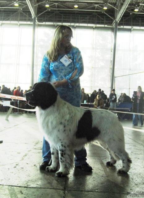 Фотография № 20109