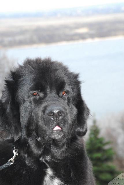 Фотография № 20112