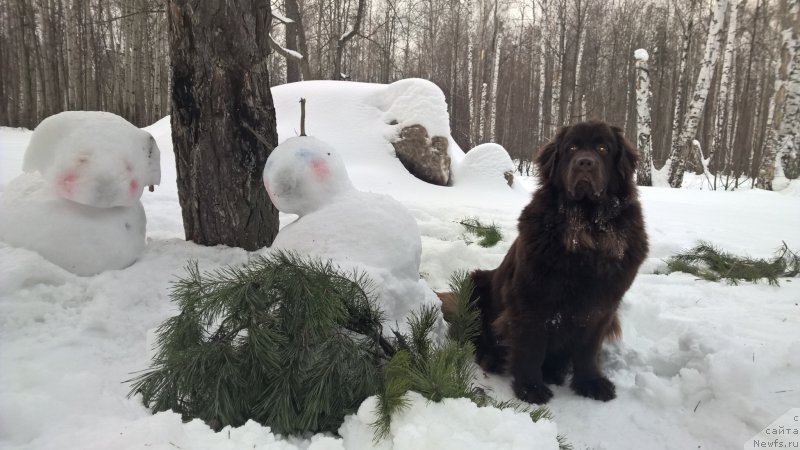 Фотография № 201122