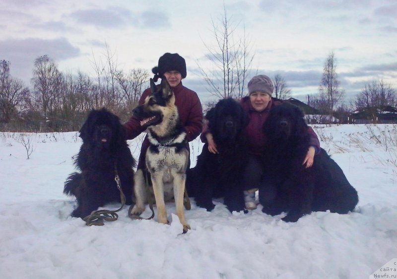 Фотография № 201131