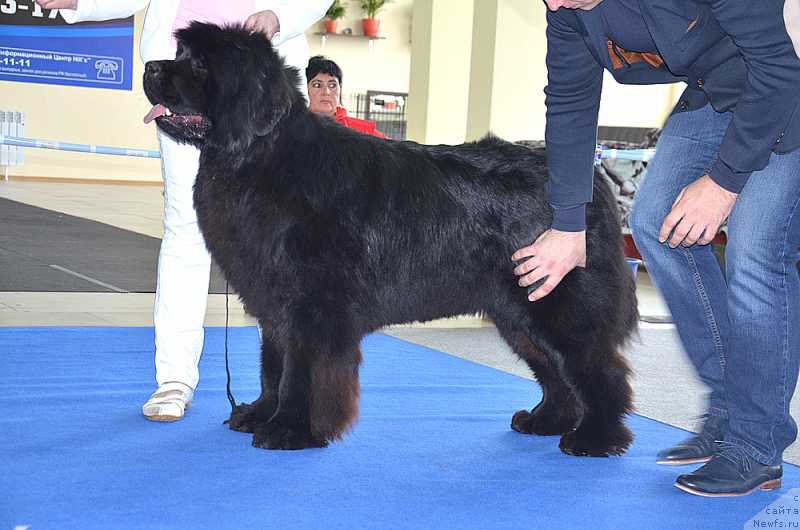 Фотография № 201153