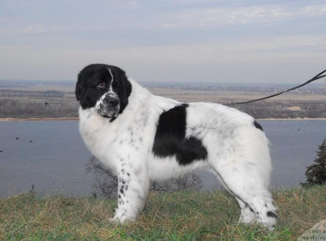 Фотография № 20116