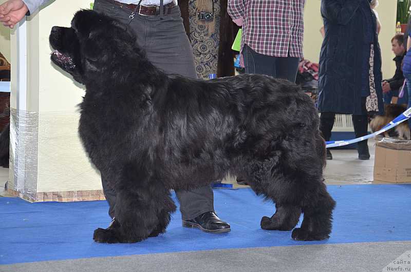 Фотография № 201183