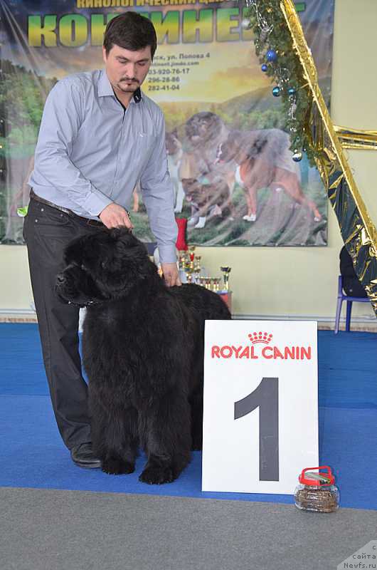 Фотография № 201184