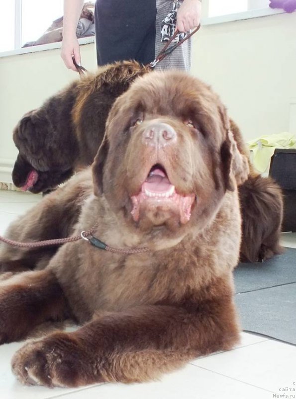 Фотография № 201222