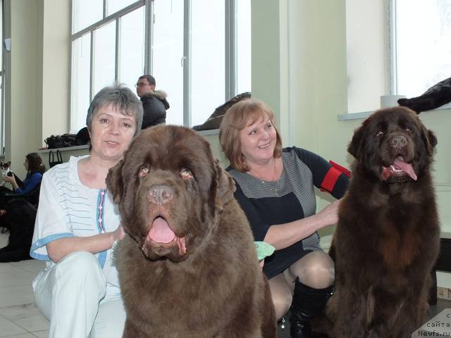 Фотография № 201224