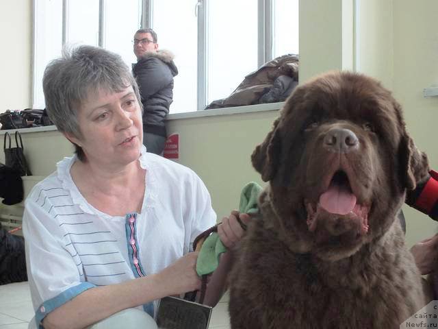 Фотография № 201225