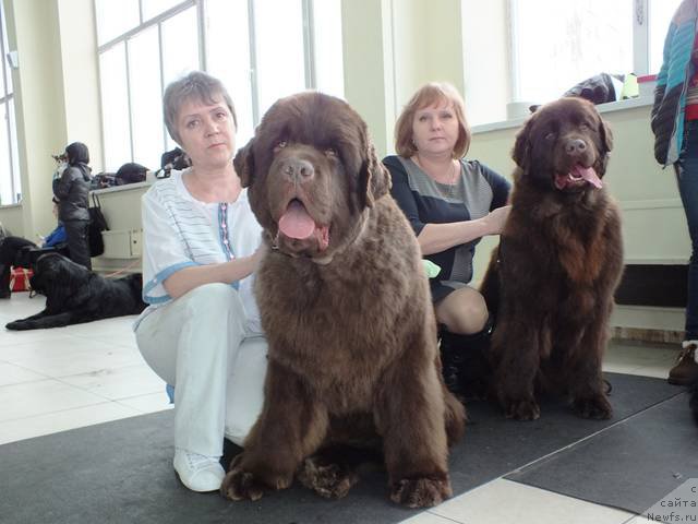 Фотография № 201226