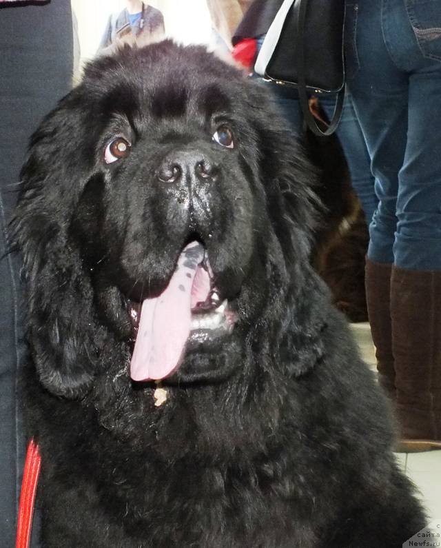 Фотография № 201227