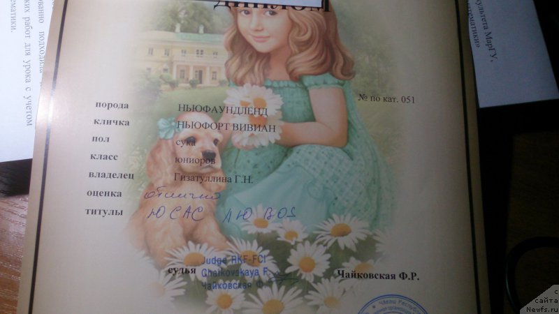 Фото: ньюфаундленд N'yufort Vivian (Ньюфорт Вивиан)