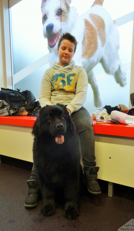 Фотография № 201235