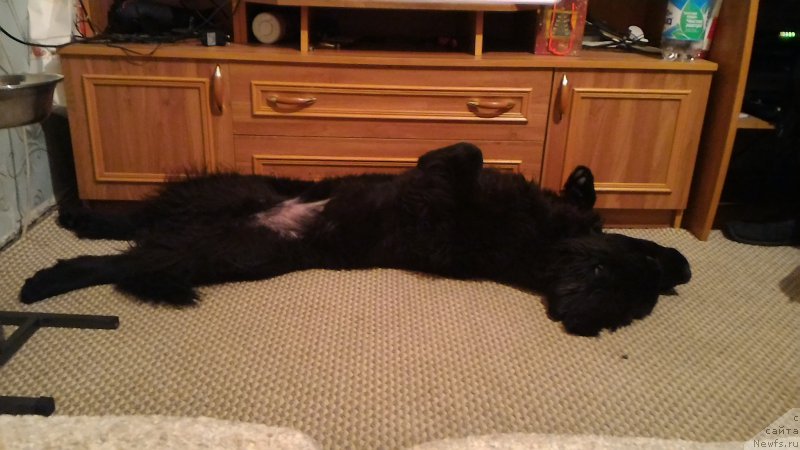 Фотография № 201255