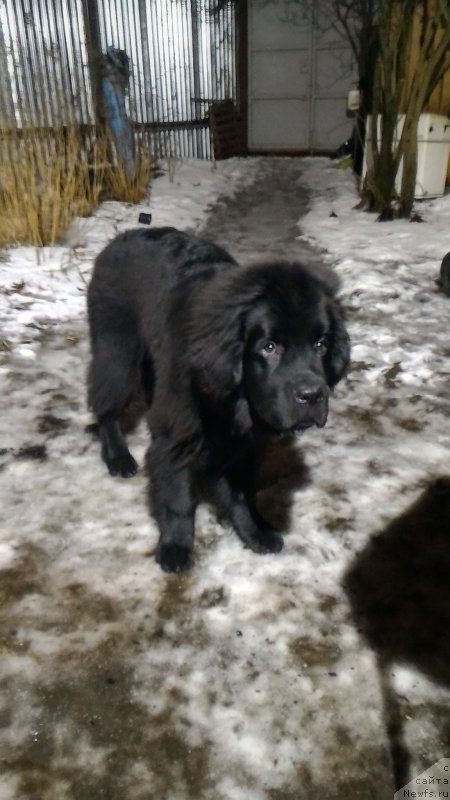 Фотография № 201257