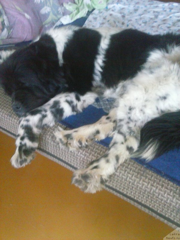 Фотография № 201282