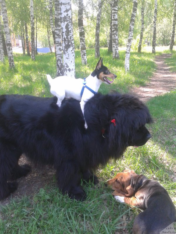 Фото: Aleksey Kuznecov (Алексей Кузнецов)