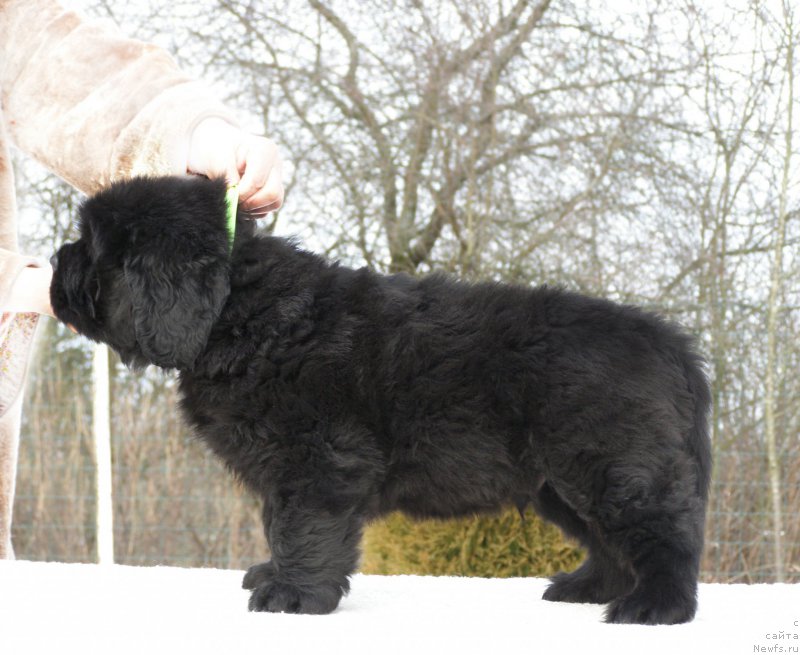 Фотография № 201308