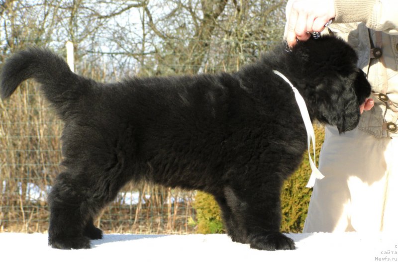 Фотография № 201319