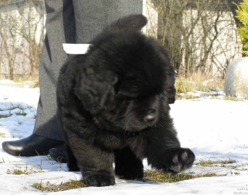 Фотография № 201322