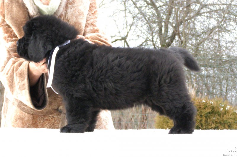 Фотография № 201332