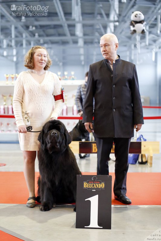 Фотография № 201384