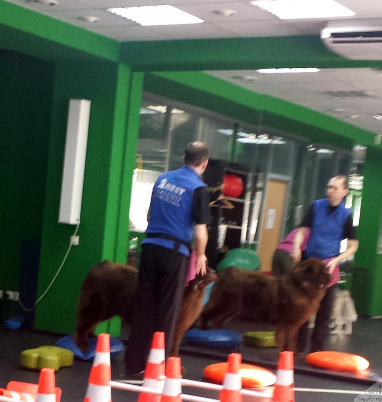 Фотография № 201389