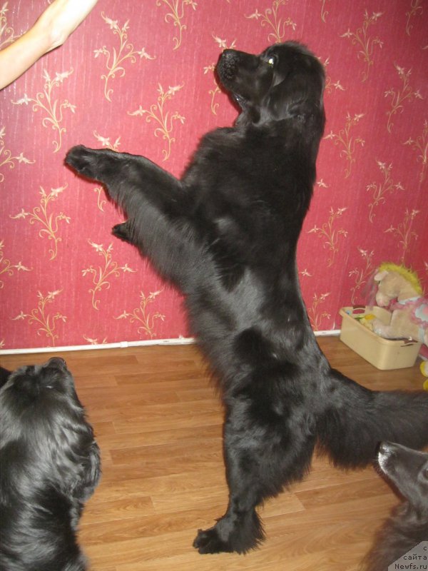 Фотография № 201397