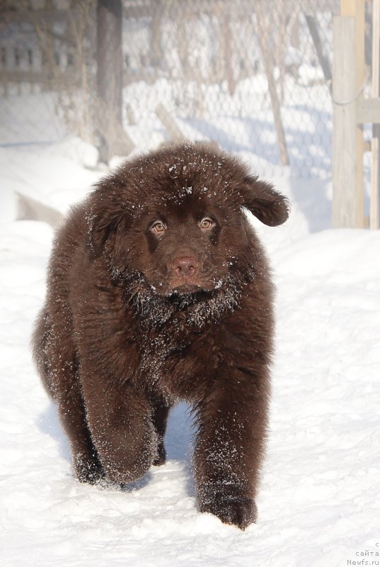 Фотография № 201420