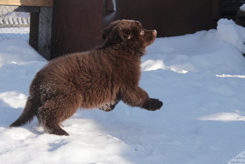 Фотография № 201422