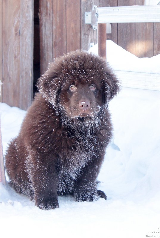 Фотография № 201424