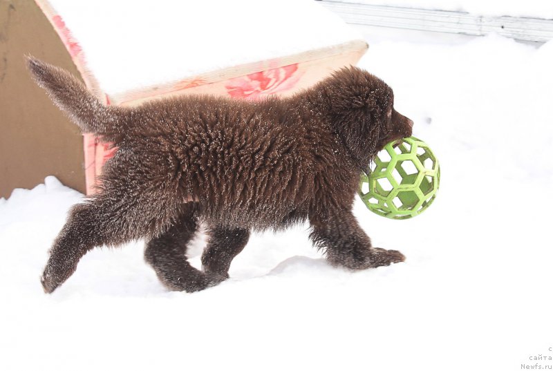 Фотография № 201425