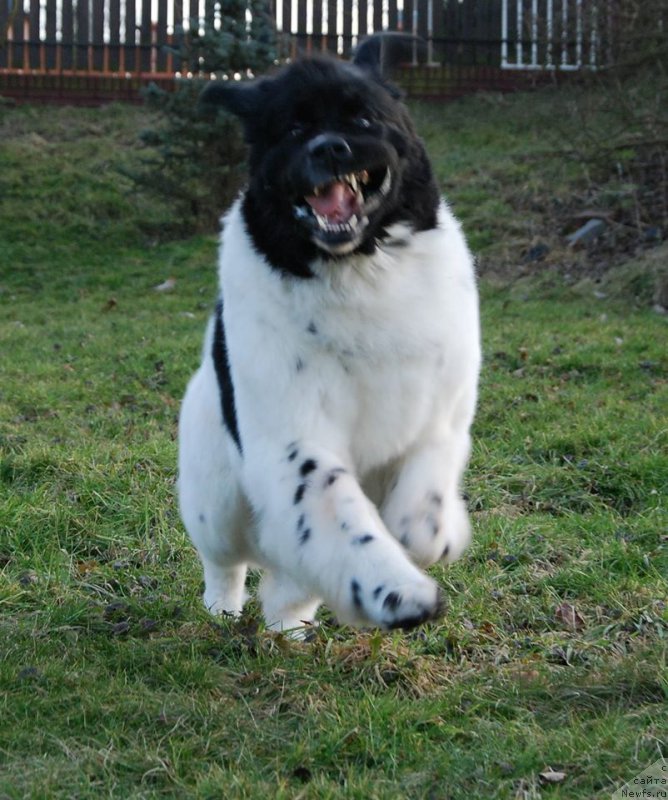 Фотография № 201432