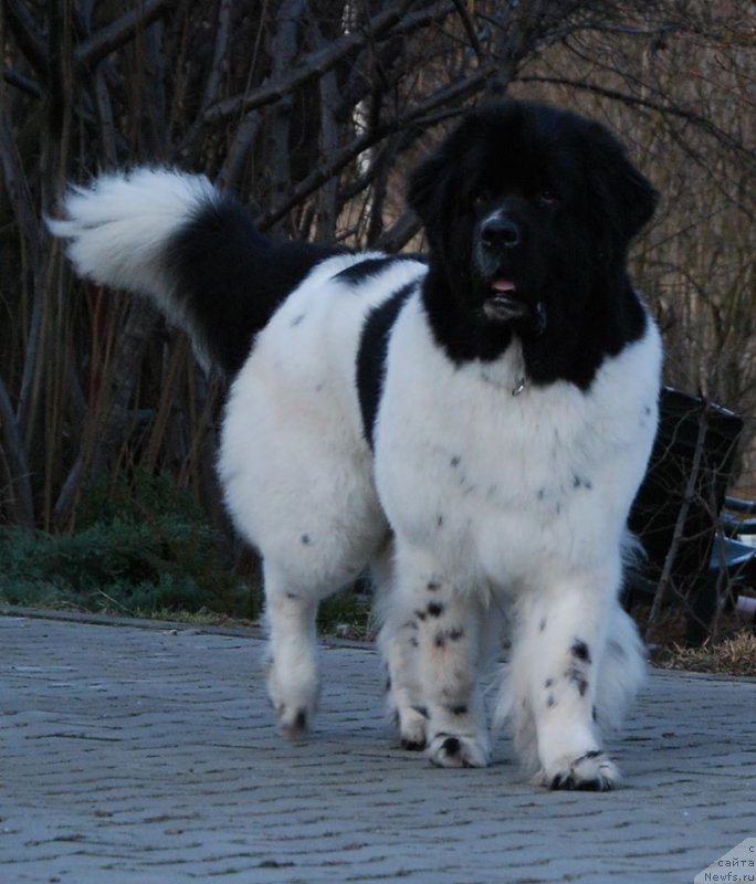 Фотография № 201435