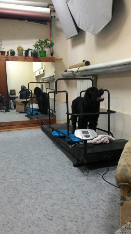 Фотография № 201442