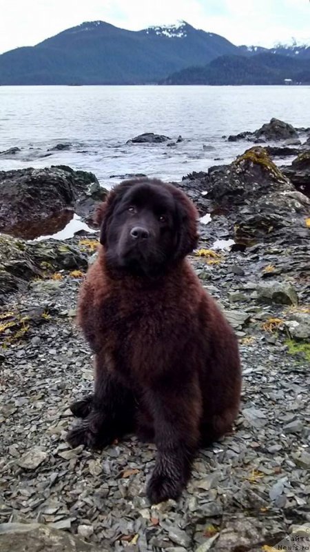 Фотография № 201446