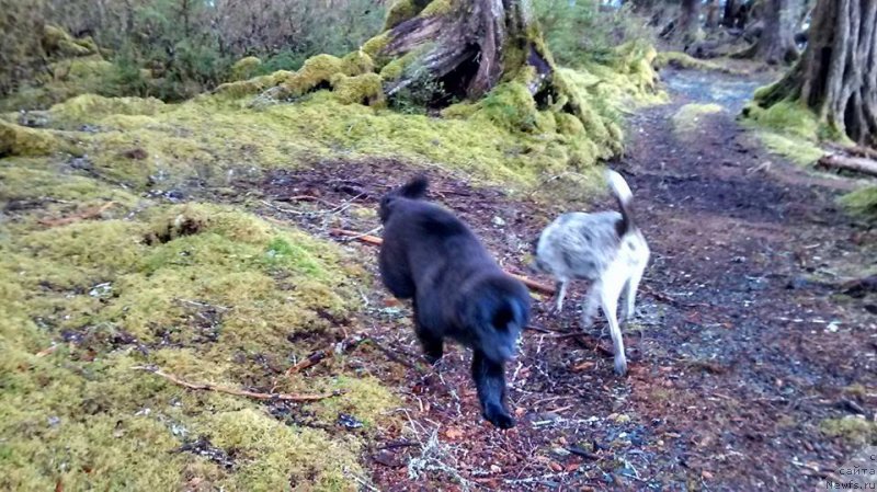 Фотография № 201448