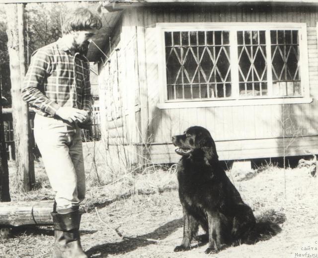 Фотография № 20148