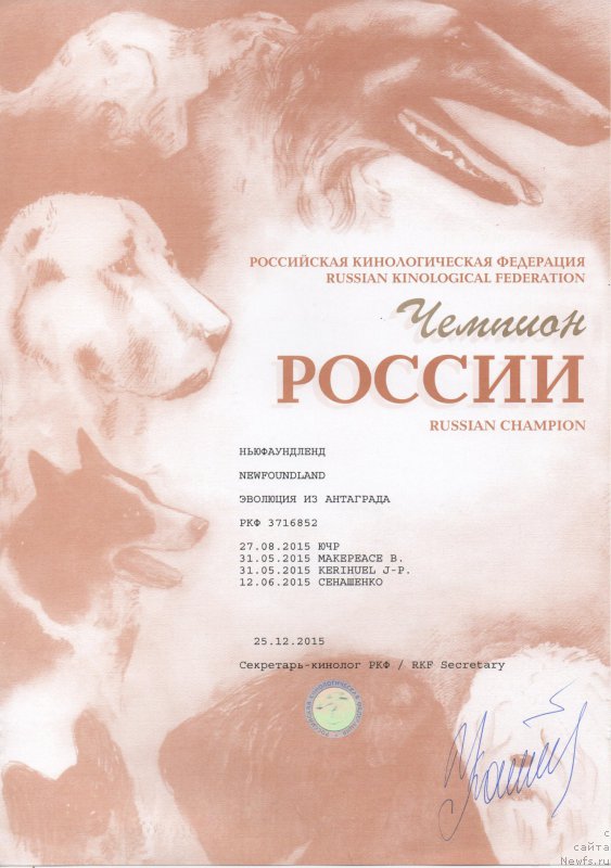 Фото: ньюфаундленд YEvolyuciya iz Antagrada (Эволюция из Антаграда)