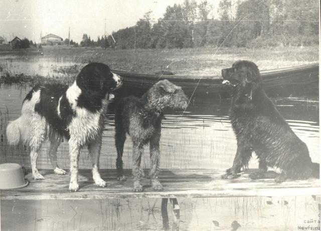 Фотография № 20150