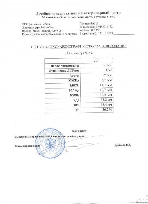 Фото: ньюфаундленд YEvolyuciya iz Antagrada (Эволюция из Антаграда)