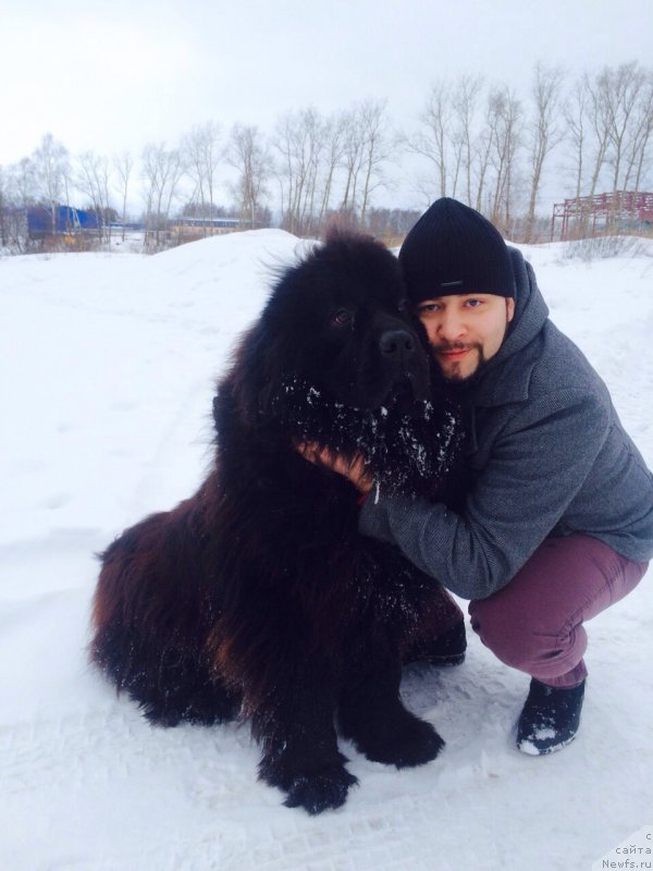 Фотография № 201544