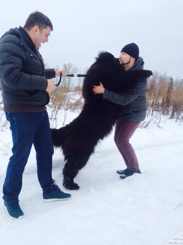 Фотография № 201545