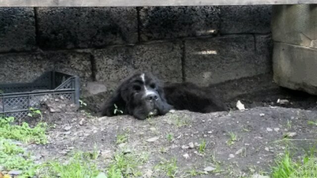 Фотография № 201554