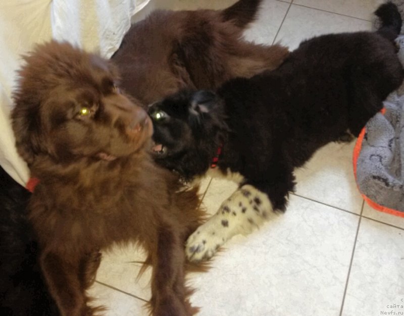 Фотография № 201561